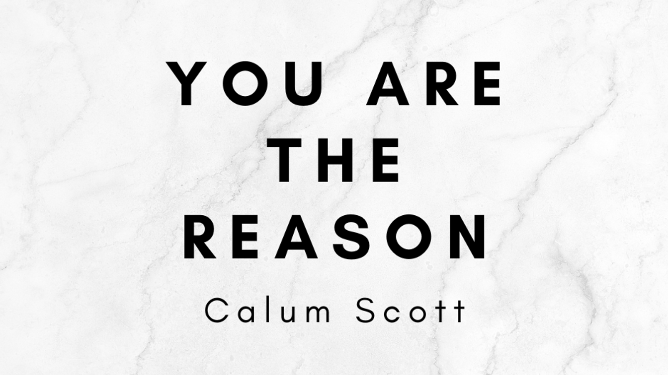 You Are The Reason - Calum Scott